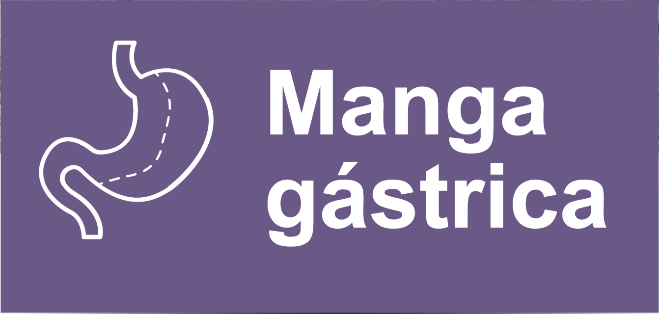 Manga gástrica