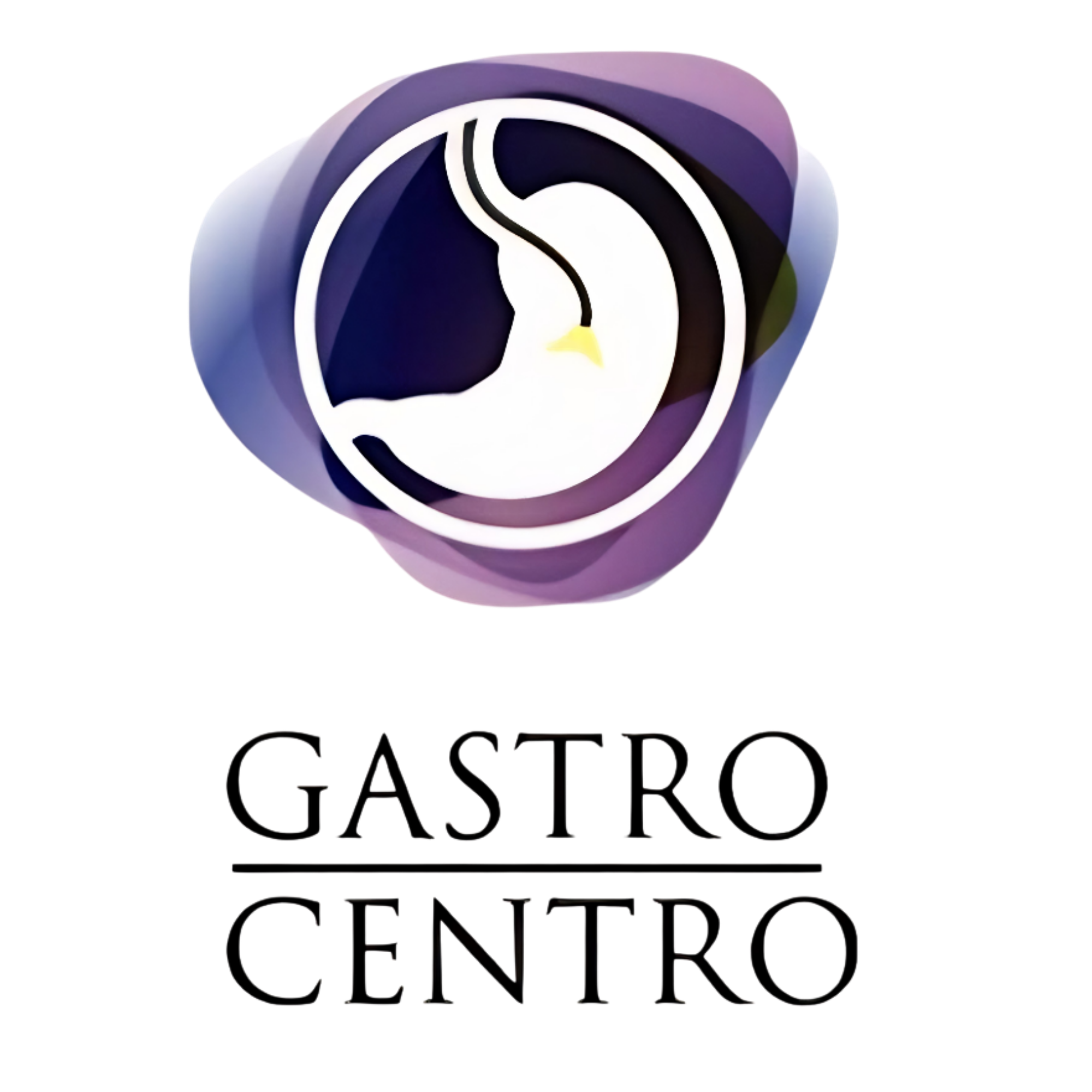 Gastro Centro